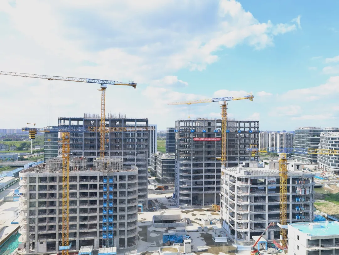 同心同向 造炬成阳 | 创世大发2024年第三季度动态速览 同心同向 造炬成阳 | 创世大发2024年第三季度动态速览